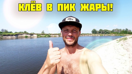 СУПЕР АКТИВНАЯ рыбалка на фидер в жару!