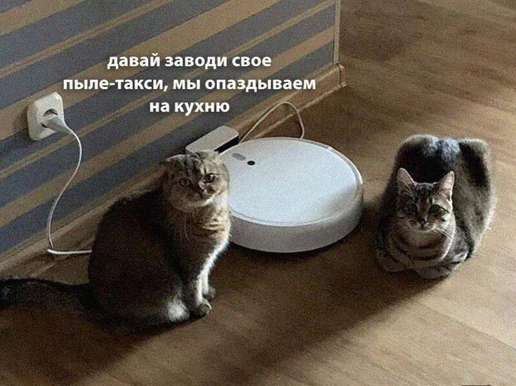 https://avatars.dzeninfra.ru/get-zen_doc/271828/pub_66c8b6476e0d2e2fbe68d58a_66c927a16e0d2e2fbe7e1d12/scale_1200
