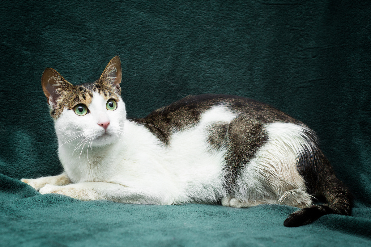 Это не могло случиться со мной!