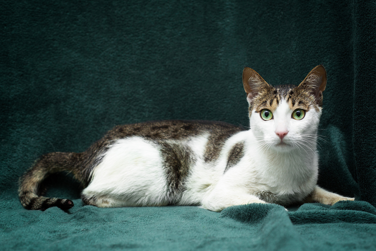 Ну правда, я же совсем молоденький!