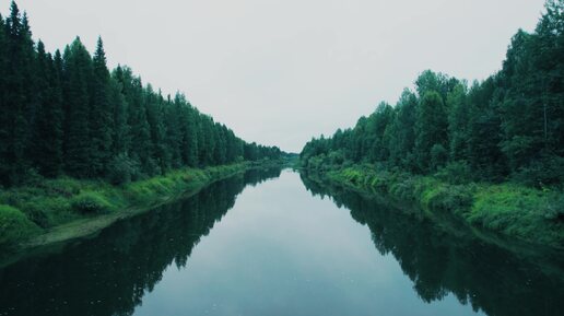 Аэросъёмка. Река Весляна 21.08.2024. Княжпогостский район. Коми.