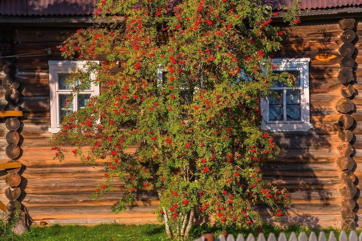 Изображение из открытых источников