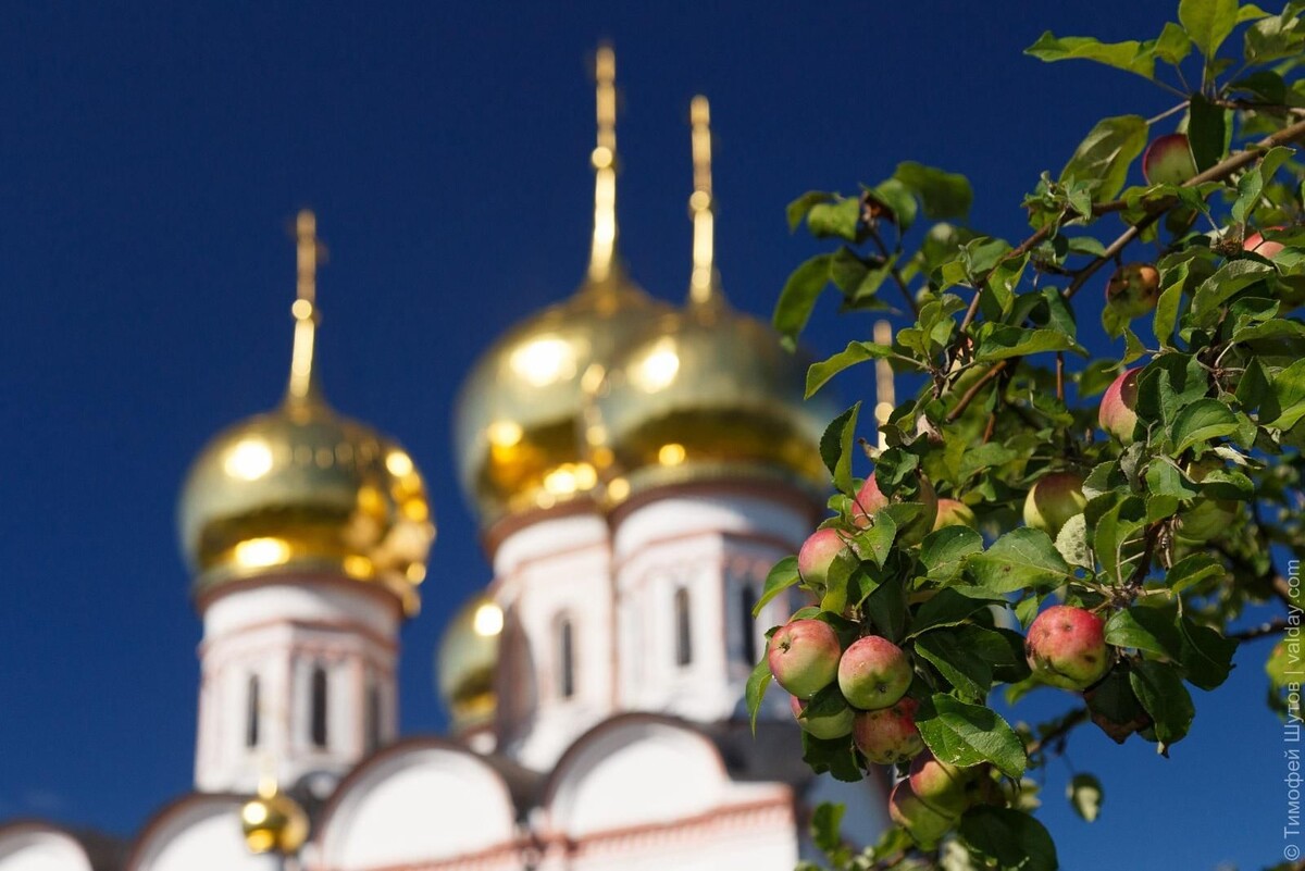 Изображение из открытых источников