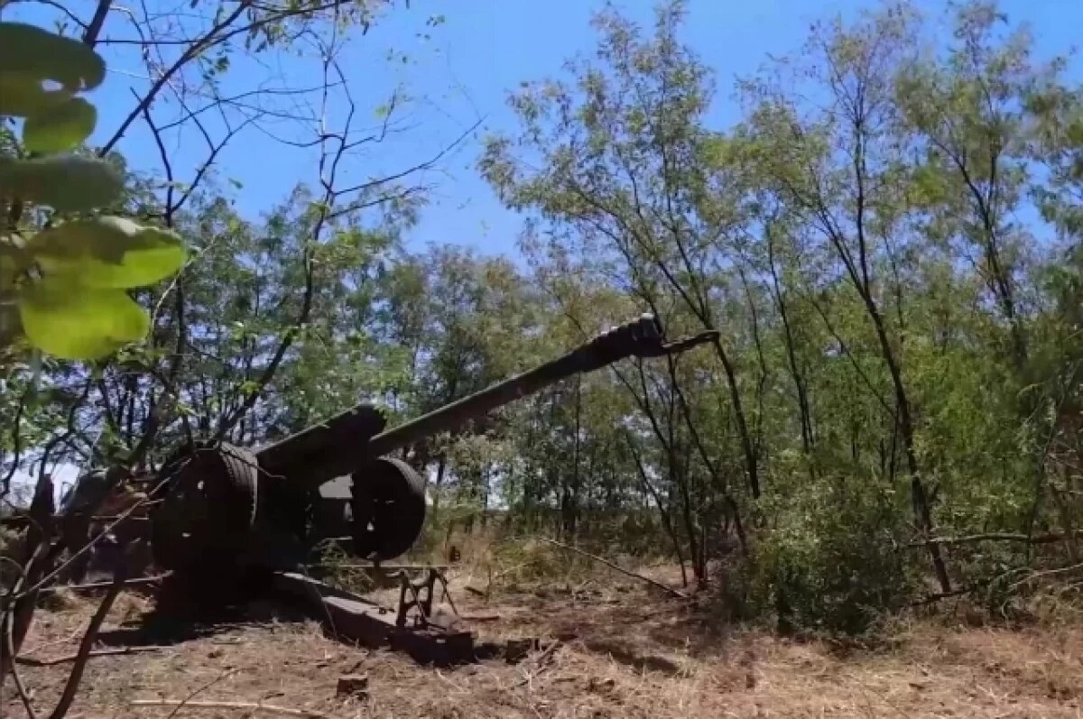    МО РФ опубликовало кадры уничтожения бойцов ВСУ на лодке в дельте Днепра