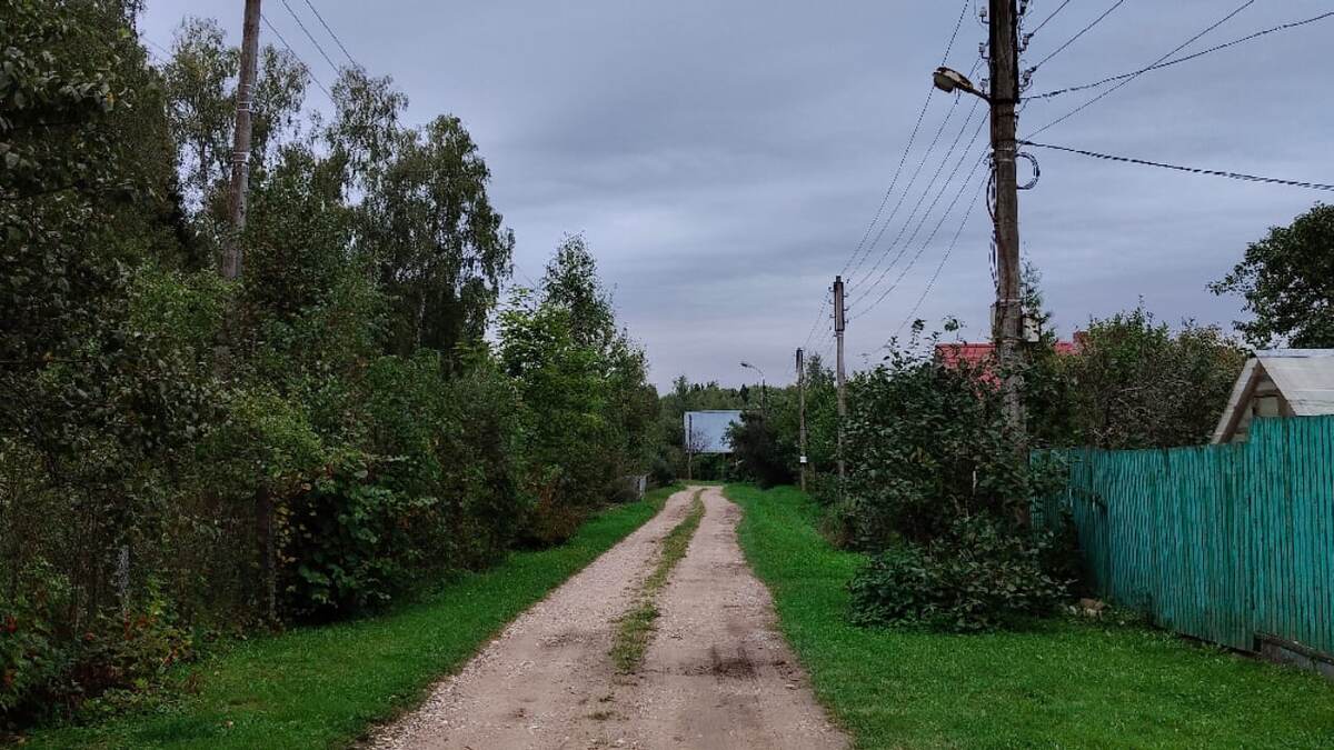 Моя вечерняя прогулка по СНТ перед сном