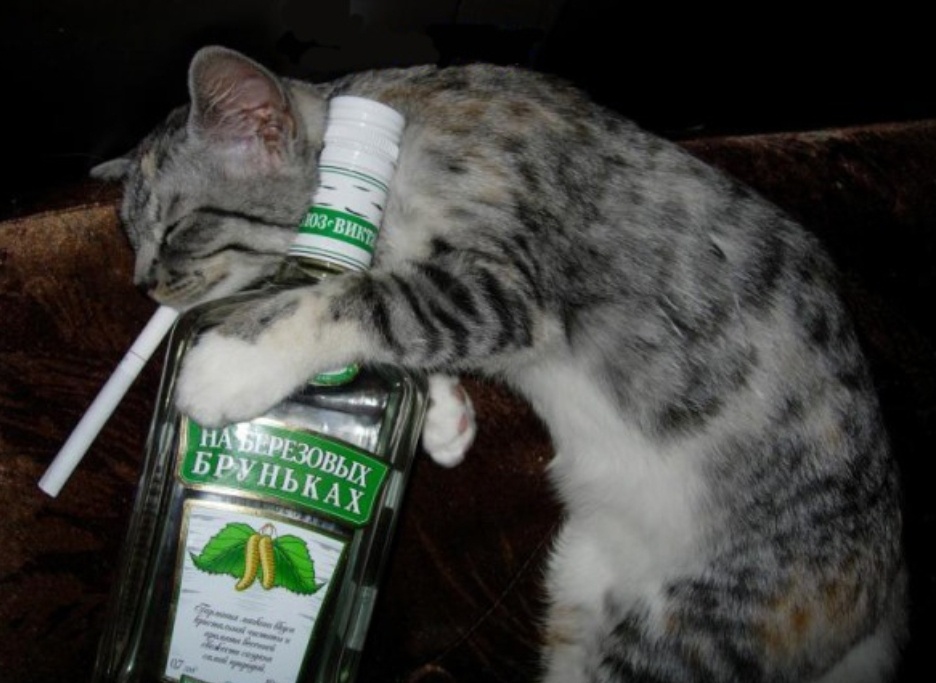 Не рекомендую