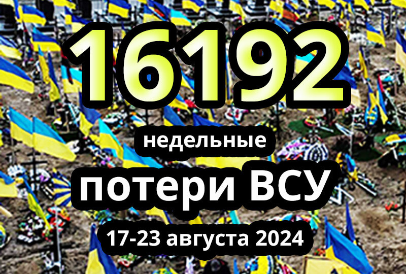    Недельные потери ВСУ