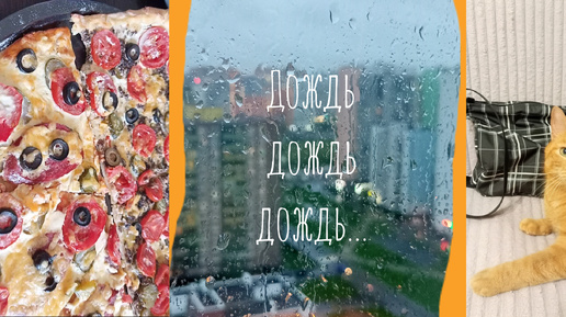 🍕 Испекла пиццу, а ещё блинчики☺️ сшила сумку 👛 и у нас сплошные 🌧️дожди...