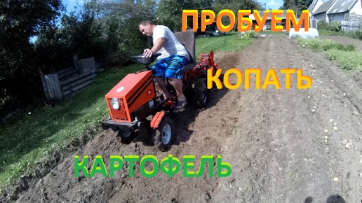 Пробуем копать картофель