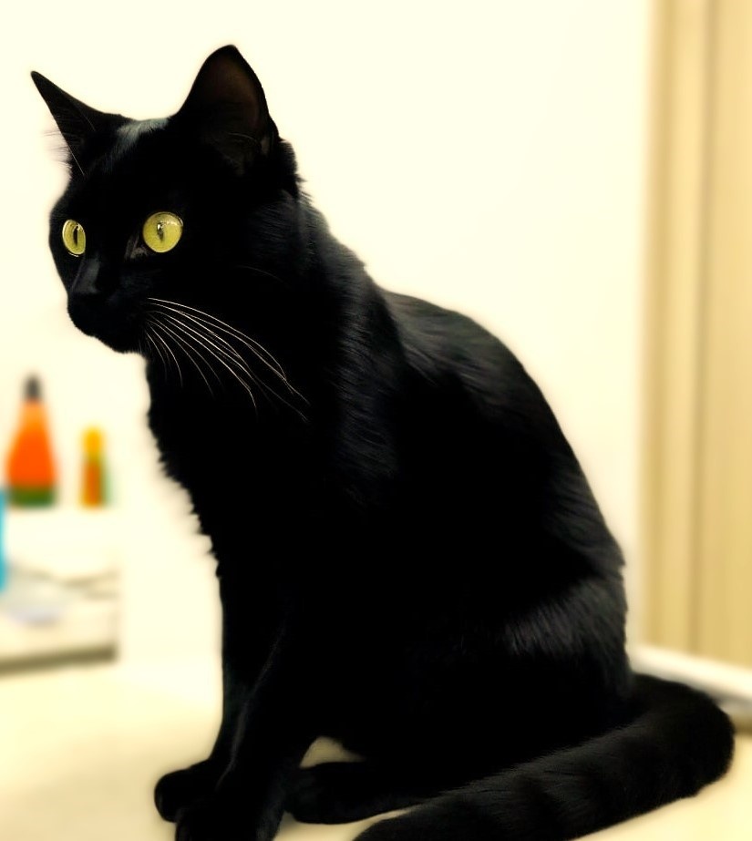 Это в клинике перед операцией.