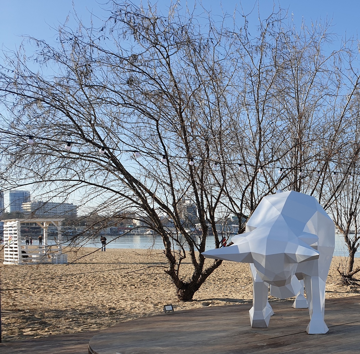 Новогодняя инсталляция на пляже в Анапе. А на заднем плане лох, растущий в песке.