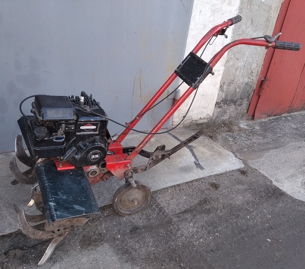 Мой первый многолетний помощник.