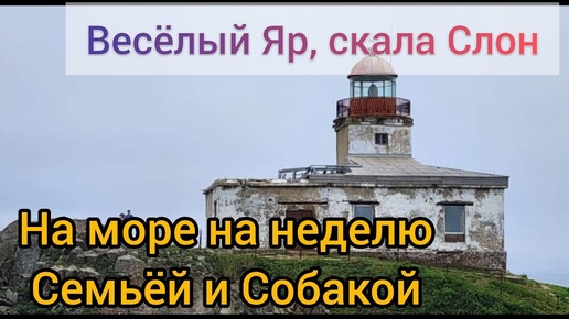 Веселый Яр Приморский край Перешеек поехали семьей и собакой на неделю в палатке на море видели Нерпу с маяк Балюзек ели трепанг