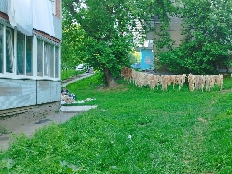     Фото Светланы Жиленковой из группы "МЖК, Восточный, Плющихинский"