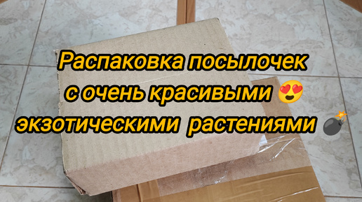 Распаковка посылочек с очень красивыми и необычными растениями