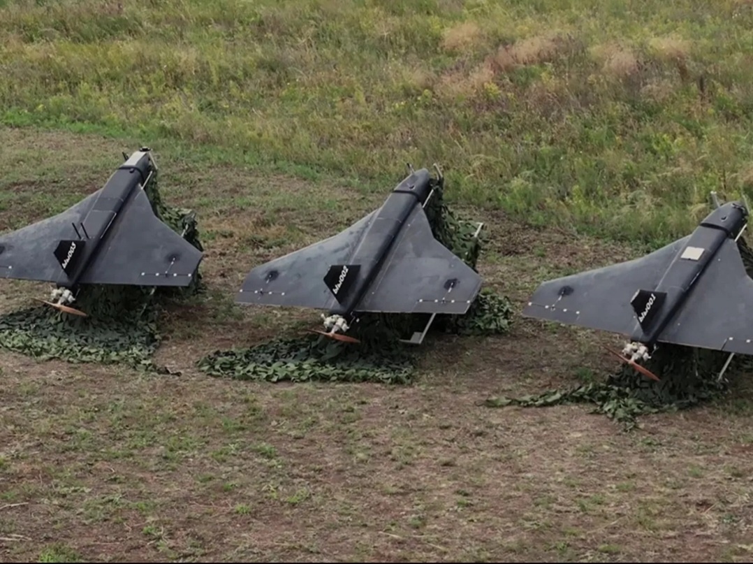 Дрон "Гербера"