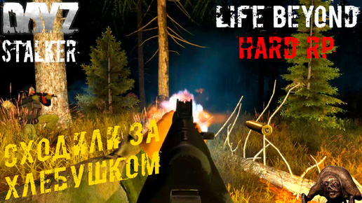 Сходили за Хлебушком ☢️ Dayz STALKER RP Life Beyond Hard RP