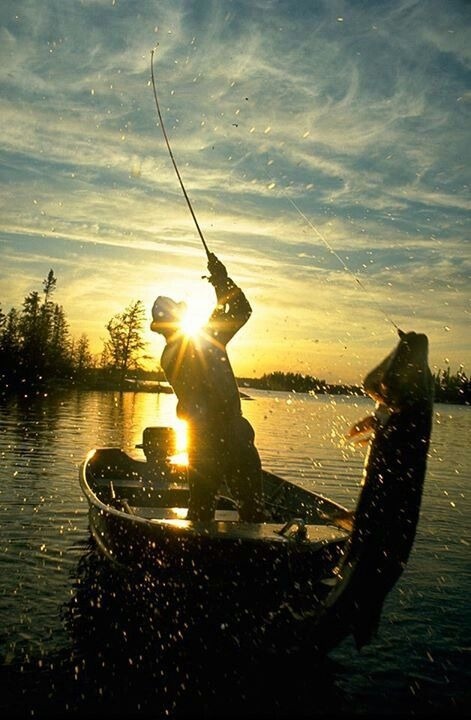 Фото из pinterest.com