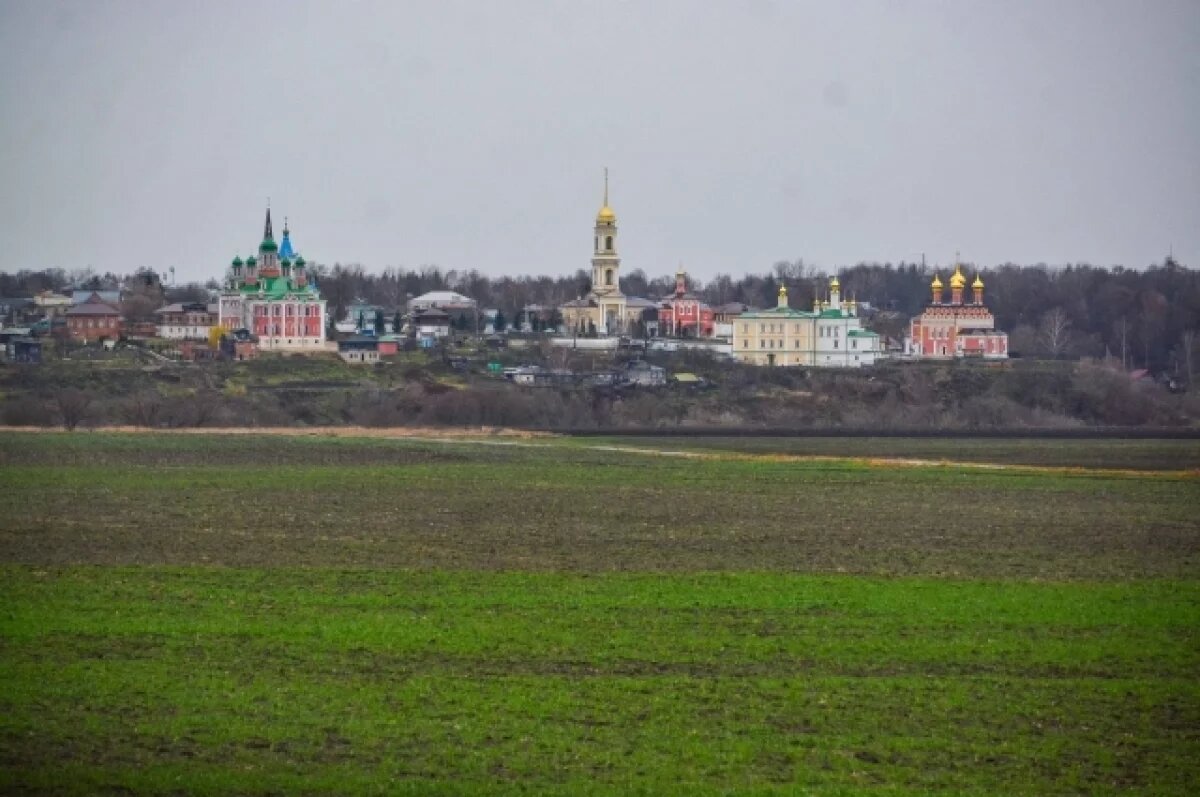    День ещё одного города в Тульской области свернули в последний момент