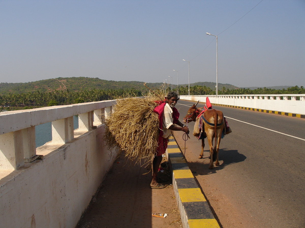 Мост через реку Чапора. Построен он уже в этом веке. Сзади меня Сиалим. Правее, там где рынок было место откуда ходил паром. В начале ХХI века он уже был дизельный, а в 70е прошлого века на ручной тяге. С берега на берег был натянут трос, который перебирали руками крепкие гоанские парни...