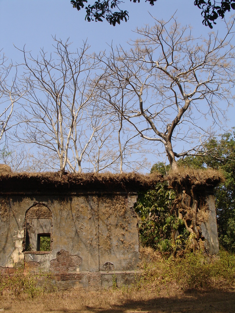 Время неумолимо... полвека назад это был крепкий, португальский жилой дом, с одной его стороны даже сохранился затёртый рисунок плаката "Фемили плэнинг", планирование семьи, где были изображены мама, папа и сын с дочкой