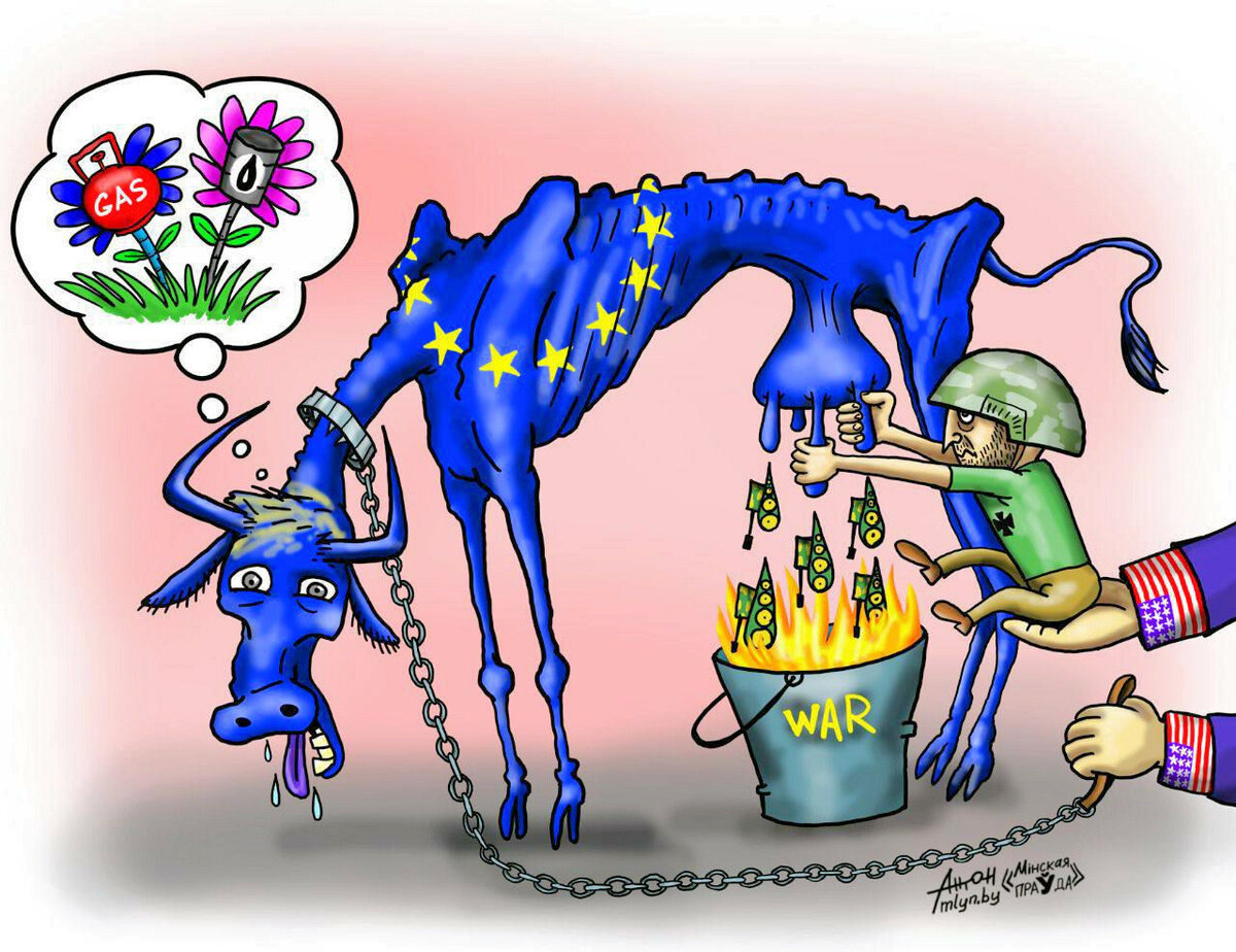 фото взято из открытого доступа Яндекс картинки.