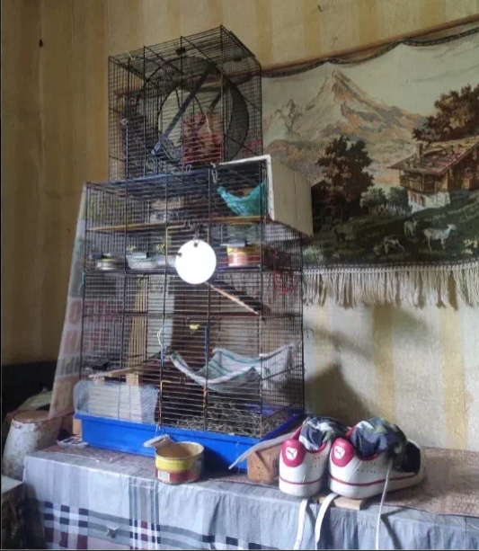 Фото автора.