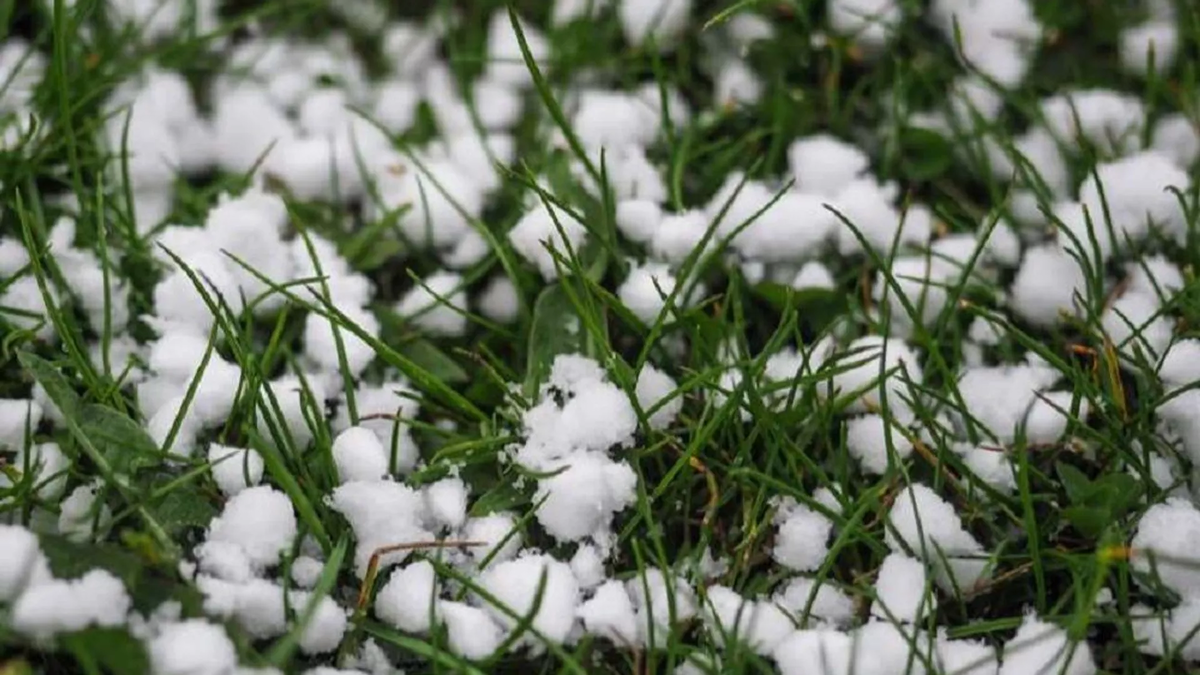 © courtesy of Aspindza City Hall