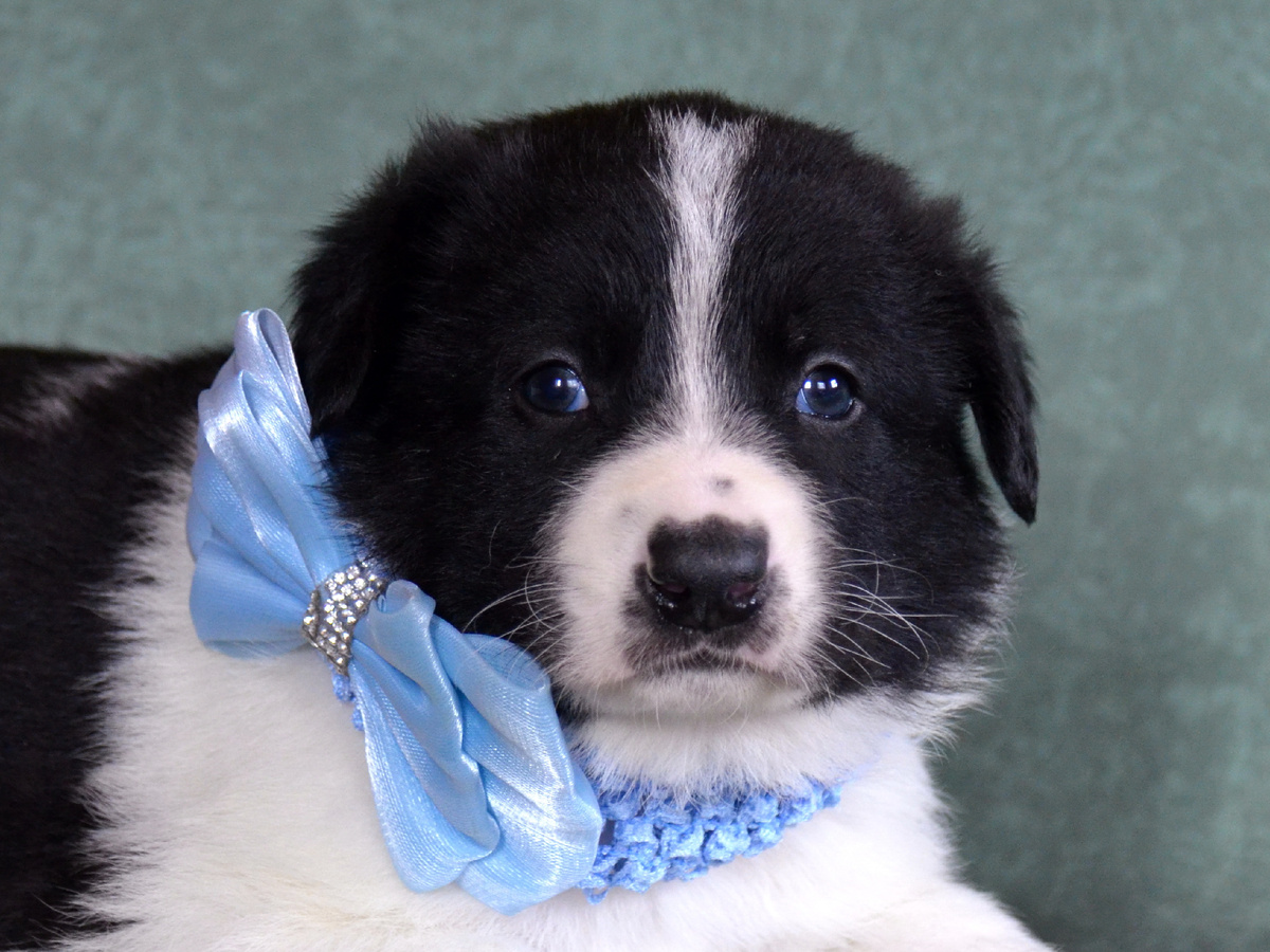 Фото из личного архива