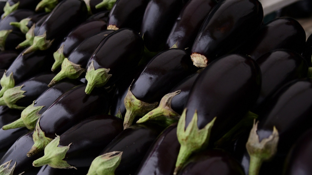    Фото: мэрия Краснодара