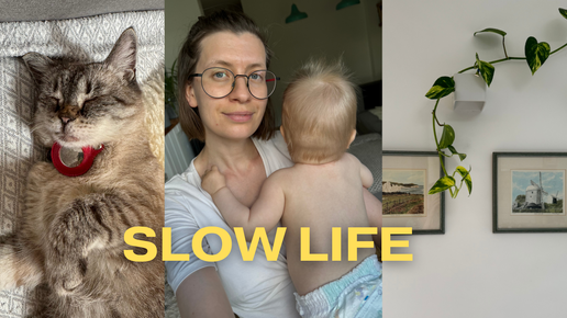 Slow life vlog: Новости | Распаковки | Огород