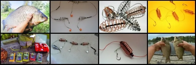 Фото с сайта: https://avatars.mds.yandex.net