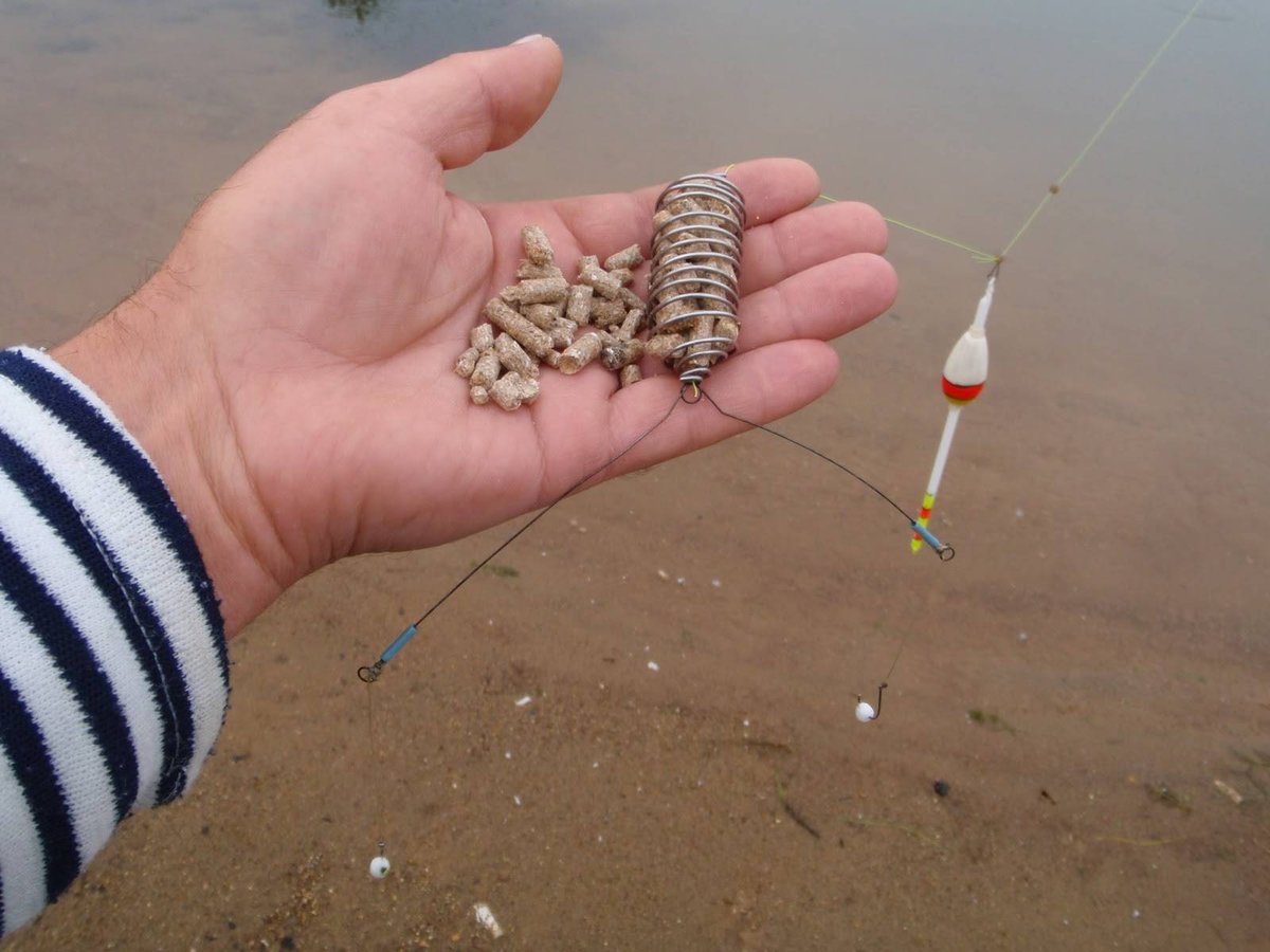 Фото с сайта: https://profrybolov.ru