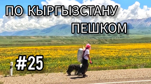 25. Кыргызстан. От Казармана до Джалал-Абада через новый туннель (часть первая)