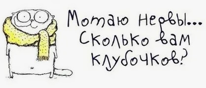 котик "грядущий учебный год"