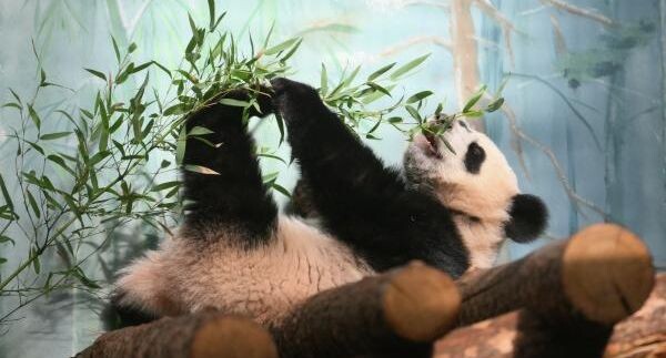    РИА «Новости»