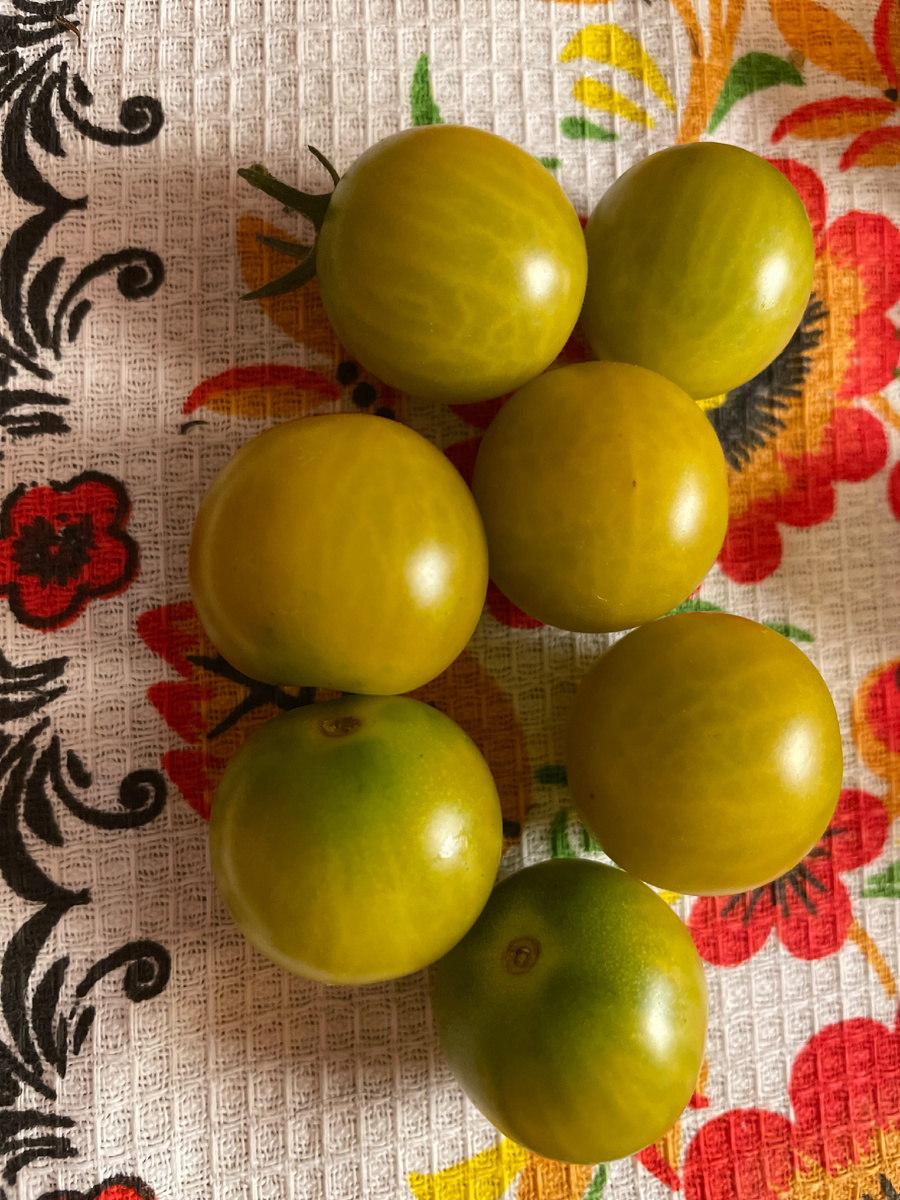 Летнее солнце (Самер сан)