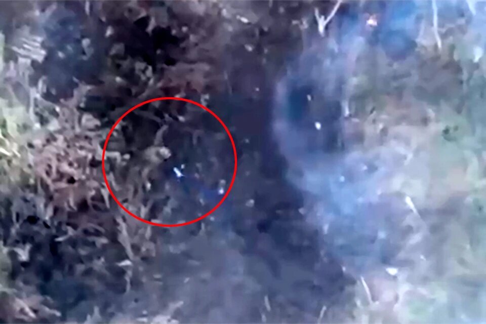 Боец сбивает дрон головой. Боец сбивает дрон головой. Боец сбивает дрон головой. Беспилотник фото. Боец сбивает дрон головой.