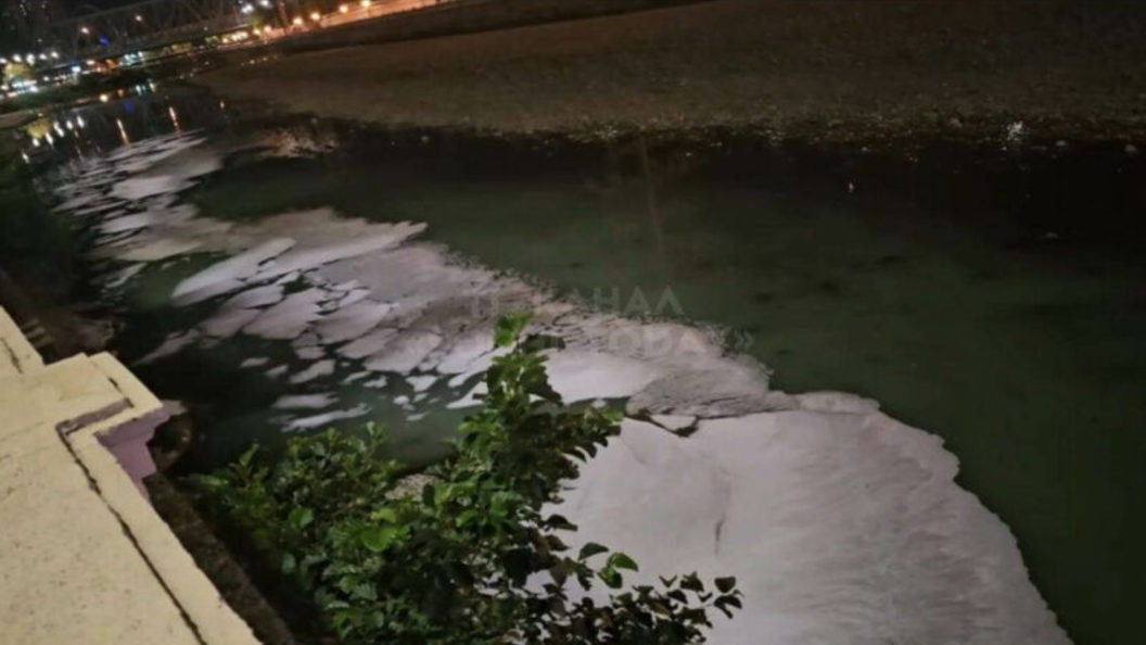    Фото t.me/proc_23