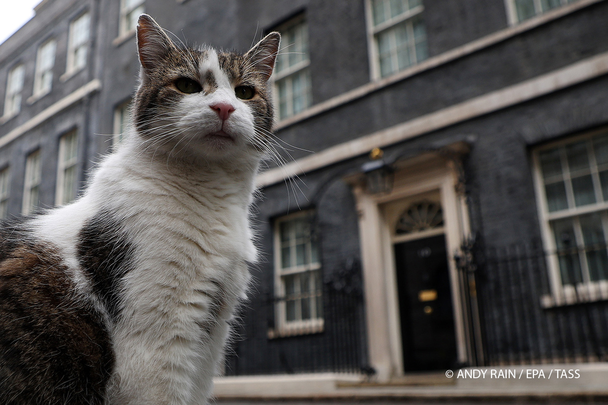    Фото: ANDY RAIN / EPA / TASS