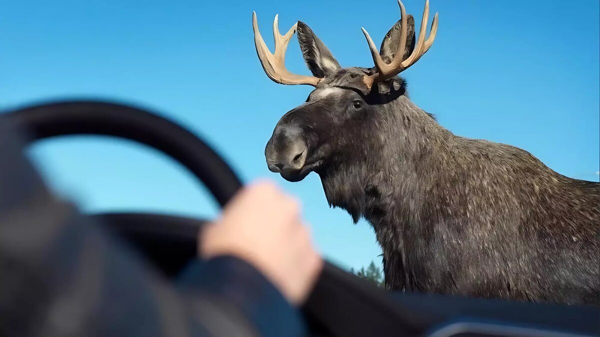     Источник: Госохотдепартамент ТО