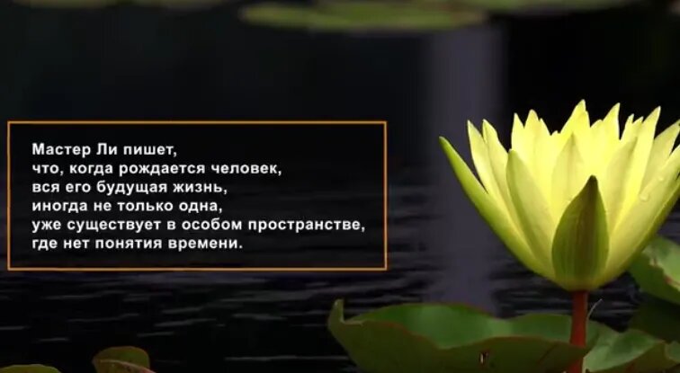 (Скриншот / ganjingworld.com)