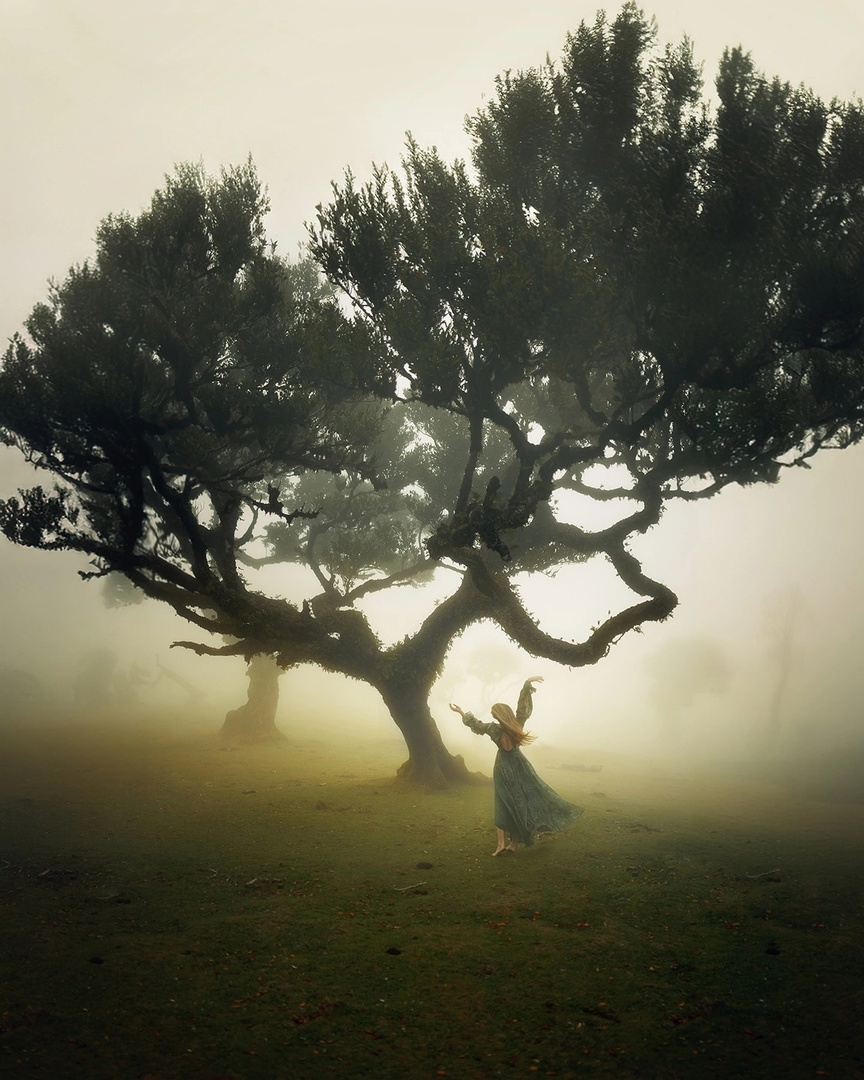 фотограф Sina Domke