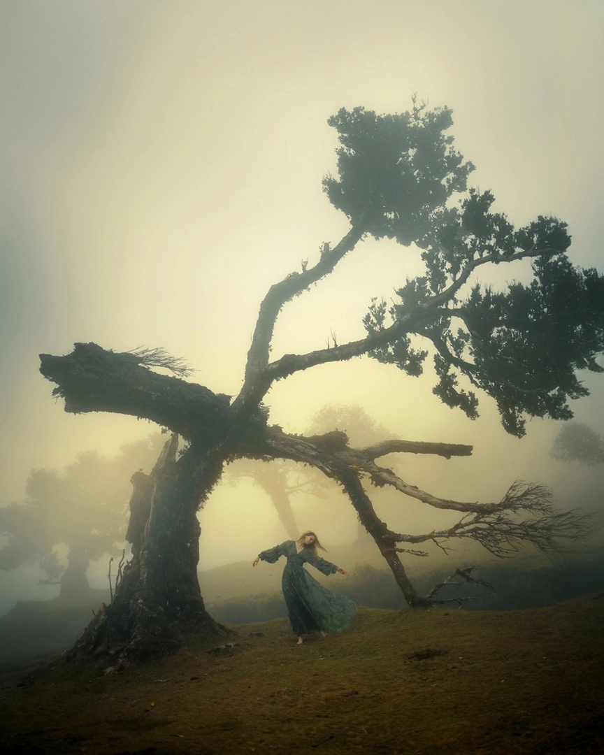 фотограф Sina Domke