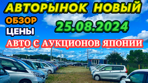 25.08.2024 Авторынок Новый Обзор Цены Авто из Японии в наличии под заказ Минивэн Кей Кар Хэтчбек Универсал Зеленый Угол Владивосток Автовоз