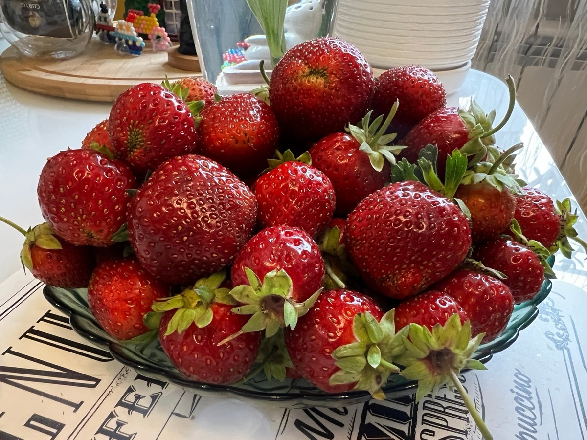 Сорт Мальвина