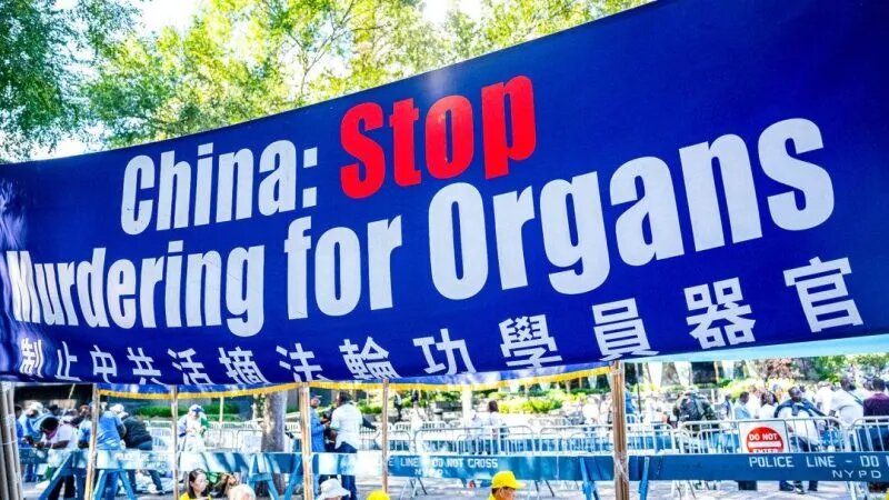 Баннер, призывающий положить конец насильственному извлечению органов у практикующих Фалуньгун в Китае, вывешен рядом со зданием Организации Объединённых Наций в Нью-Йорке 20 сентября 2023 года. (Chung I Ho/The Epoch Times)