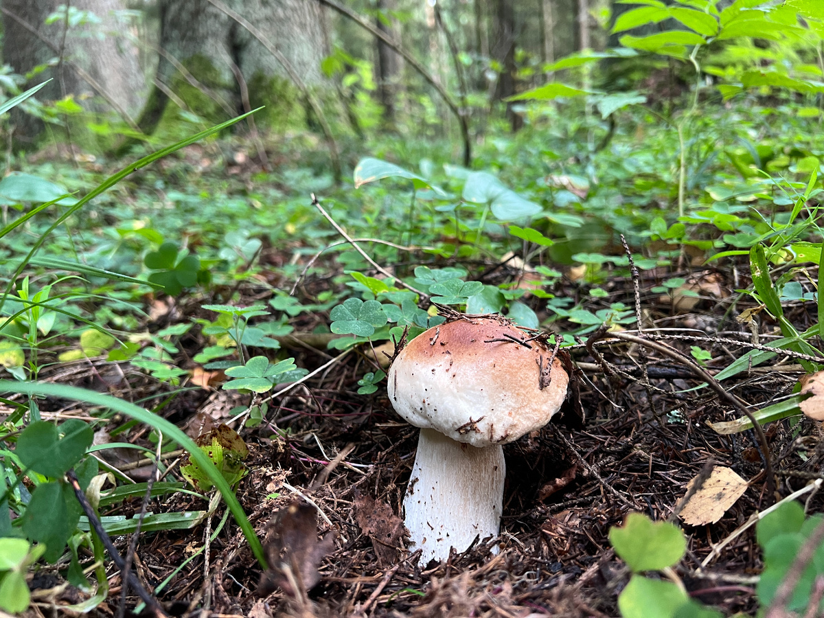 Фото автора 24.08.2024