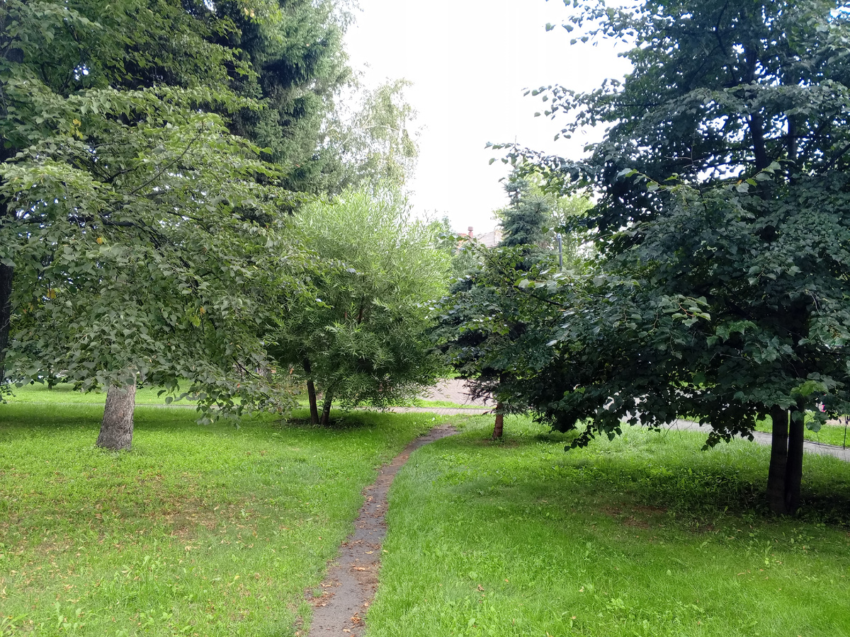 Народ протоптал тропинку по ухоженному газону