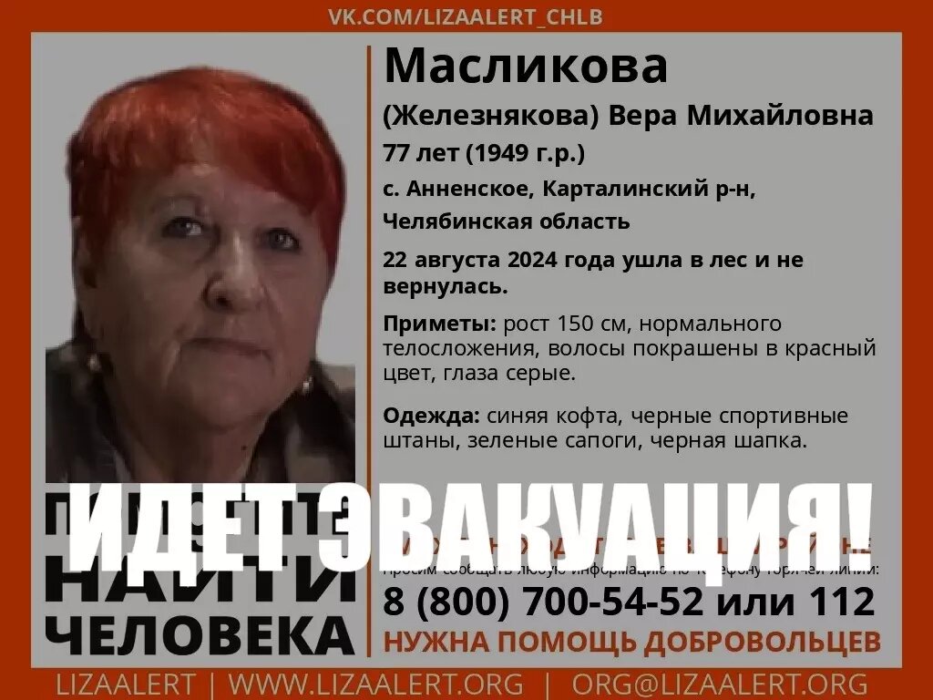     Источник: vk.com/lizaalert_chlb